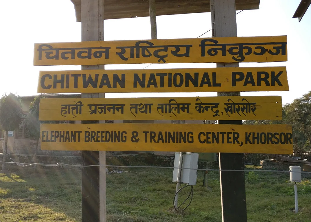 chitwan-national-park