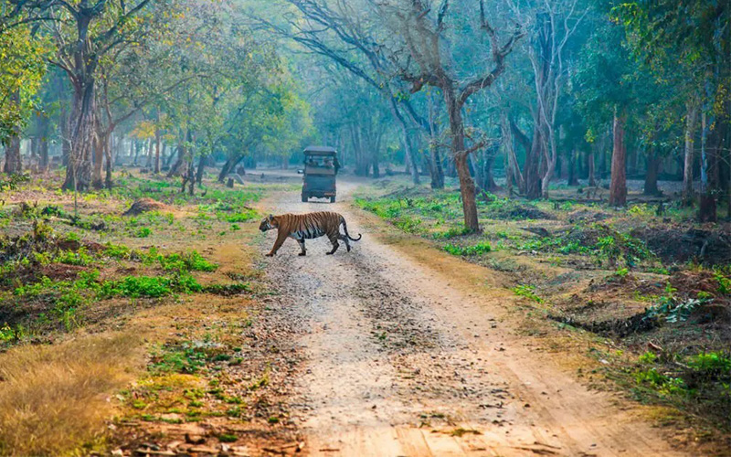 4-Day Chitwan National Park Adventure