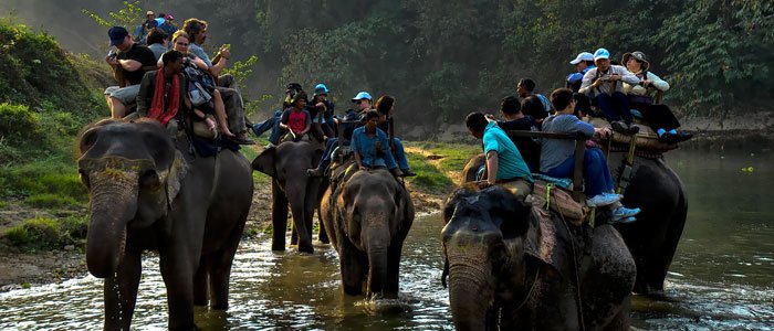 Best of Nepal with Wildlife